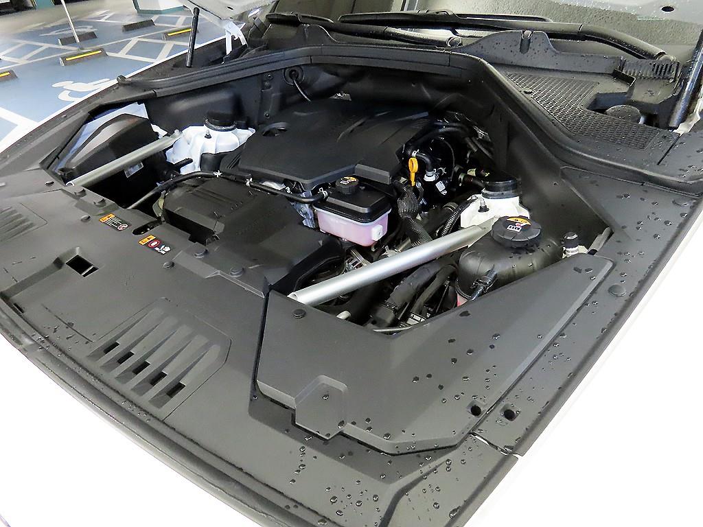 제네시스 뉴 GV80 2.5 가솔린 AWD 기본형 - 19