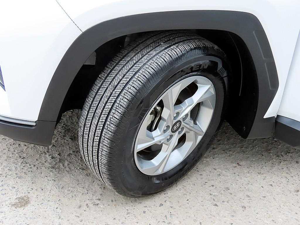img19
