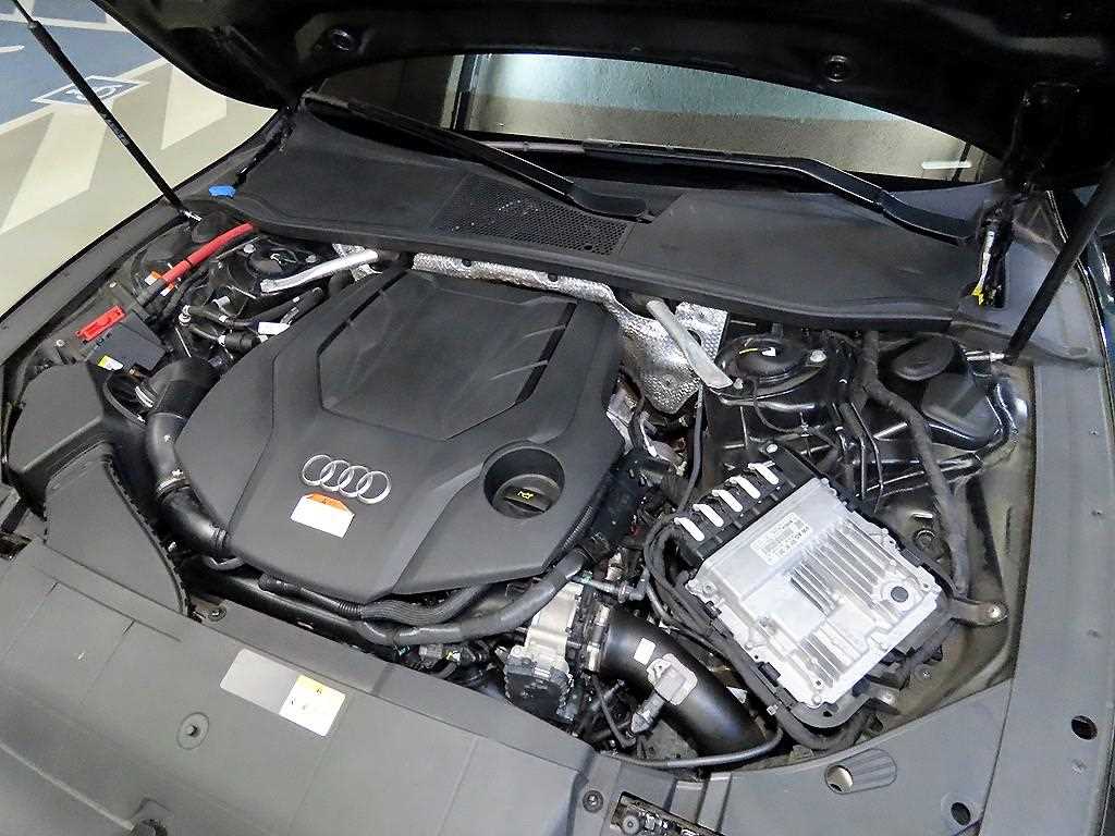 img19
