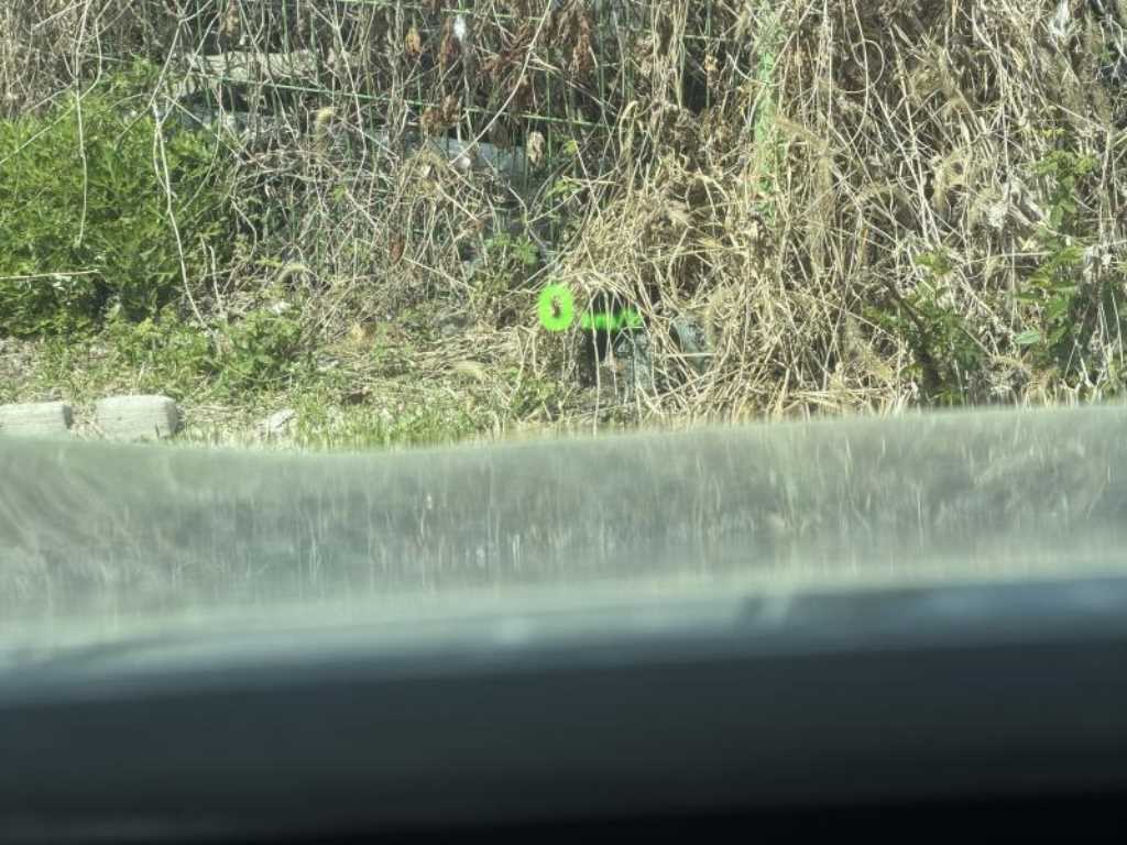 img15