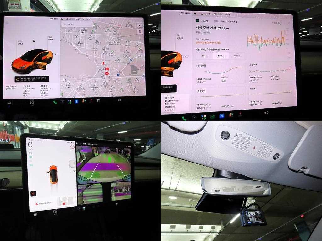 Tesla Model 3 AWD 롱 레인지 - 18