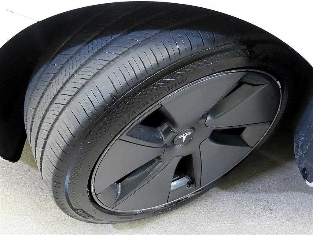 Tesla Model 3 AWD 롱 레인지 - 20