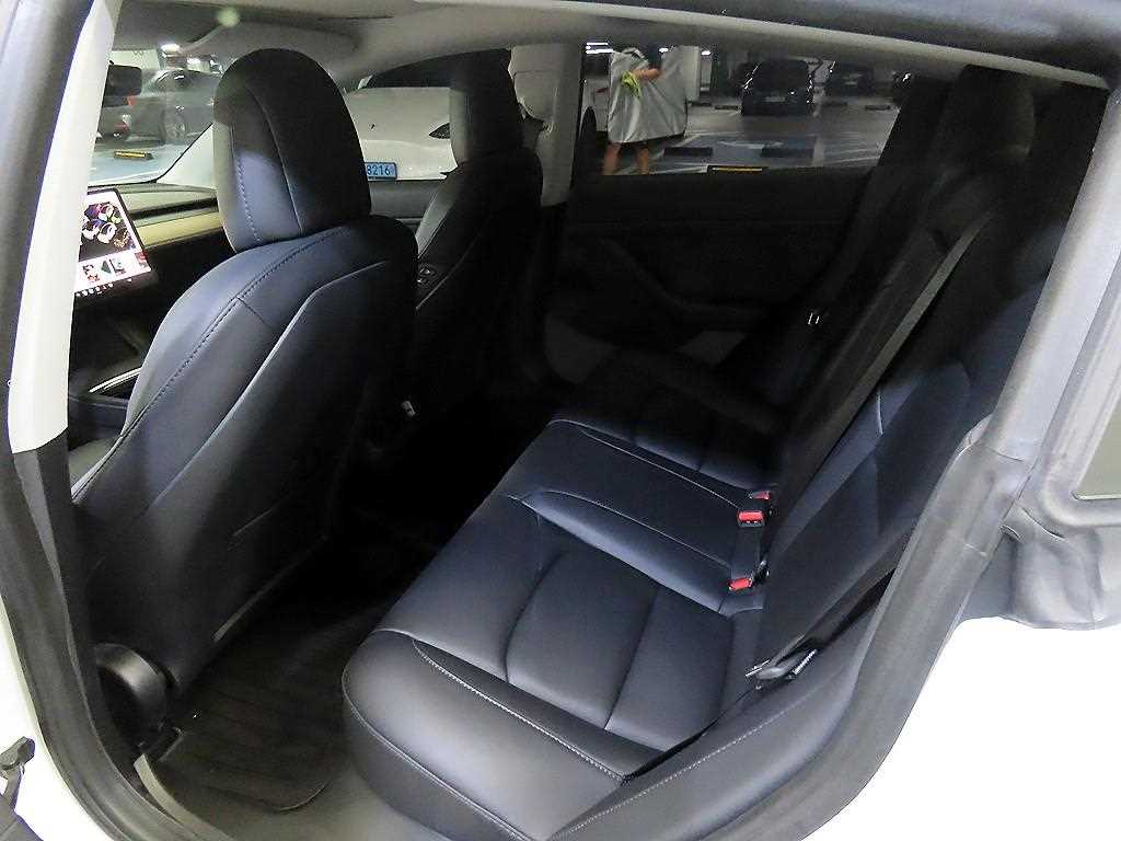 Tesla Model 3 AWD 롱 레인지 - 7