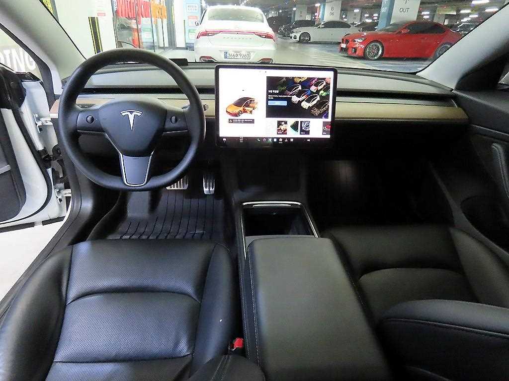 Tesla Model 3 AWD 롱 레인지 - 10