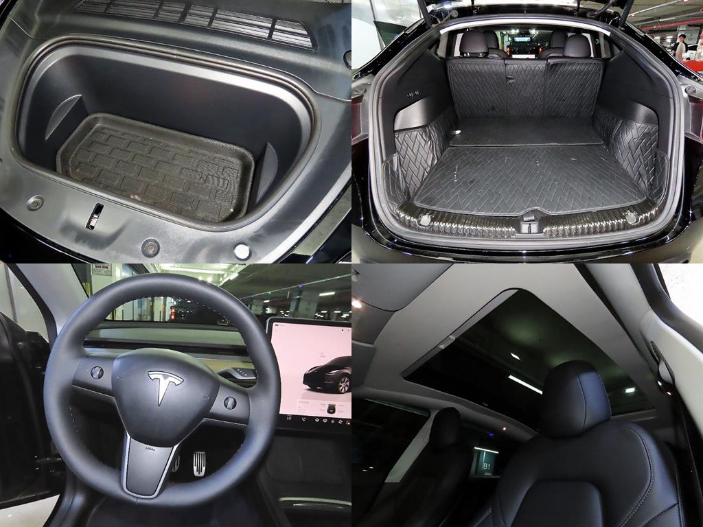 Tesla Model Y AWD 롱 레인지 - 18
