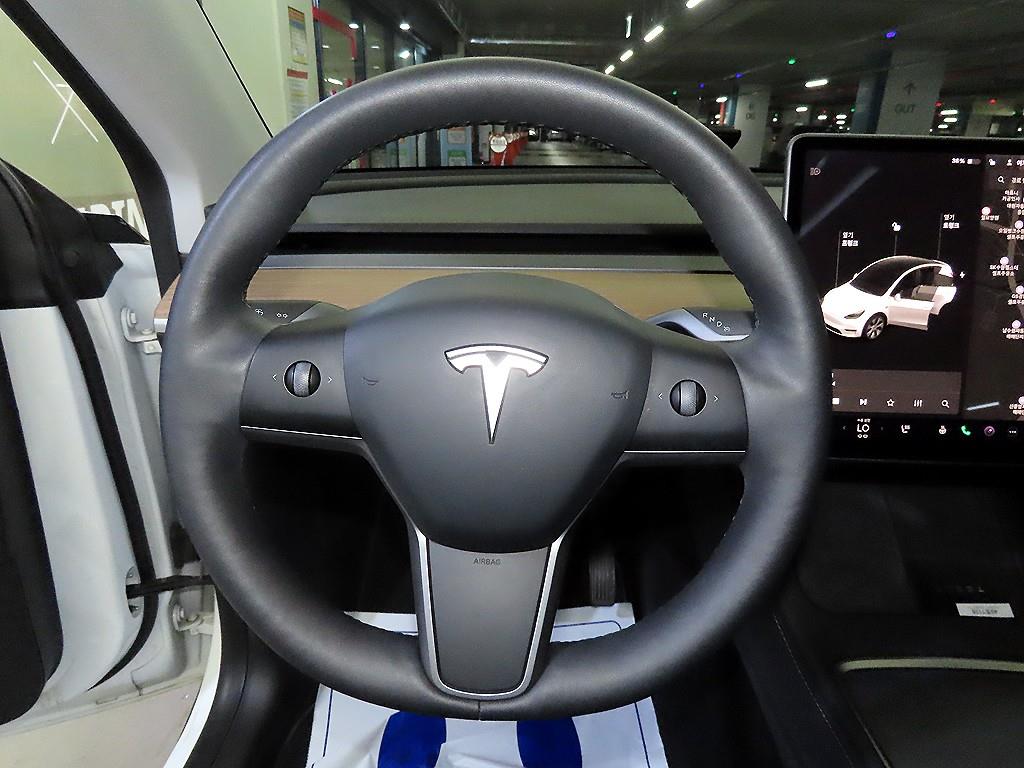 Tesla Model Y AWD 롱 레인지 - 8