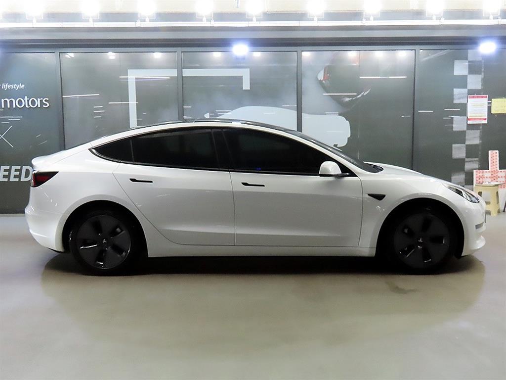 Tesla Model 3 AWD 롱 레인지 - 3