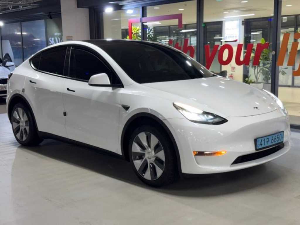 Tesla Model Y AWD 롱 레인지 - 2