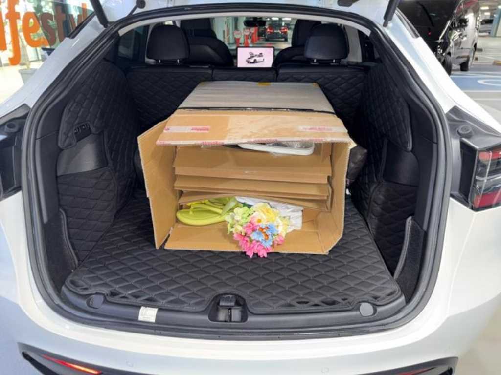 Tesla Model Y AWD 롱 레인지 - 17