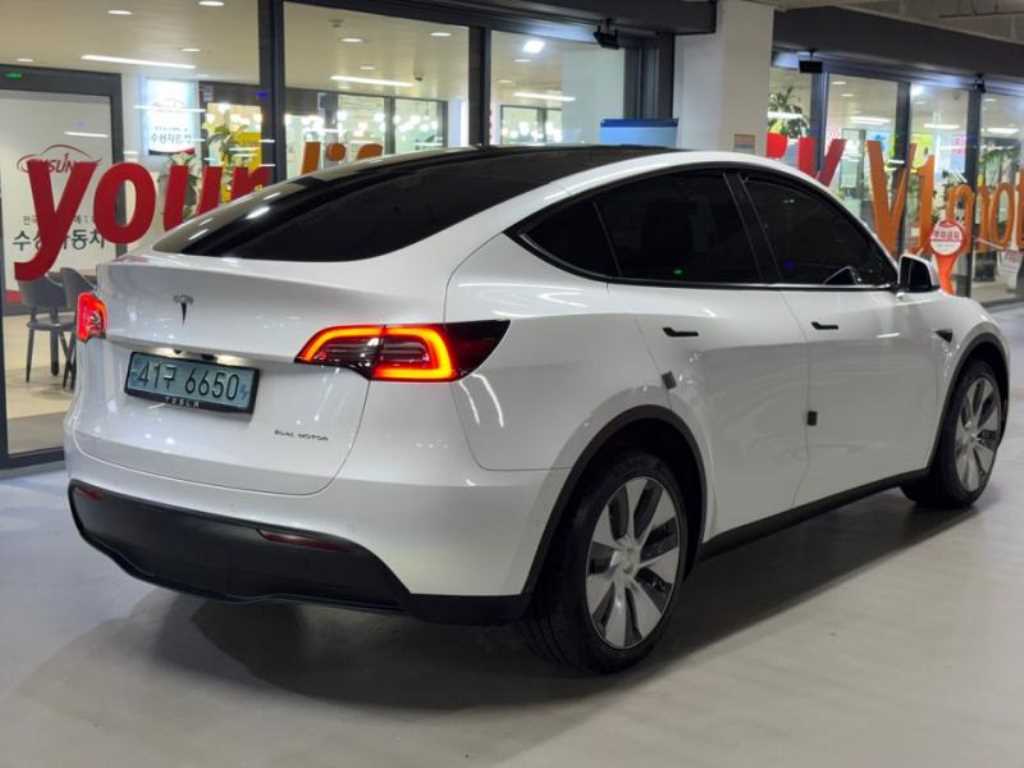 Tesla Model Y AWD 롱 레인지 - 4