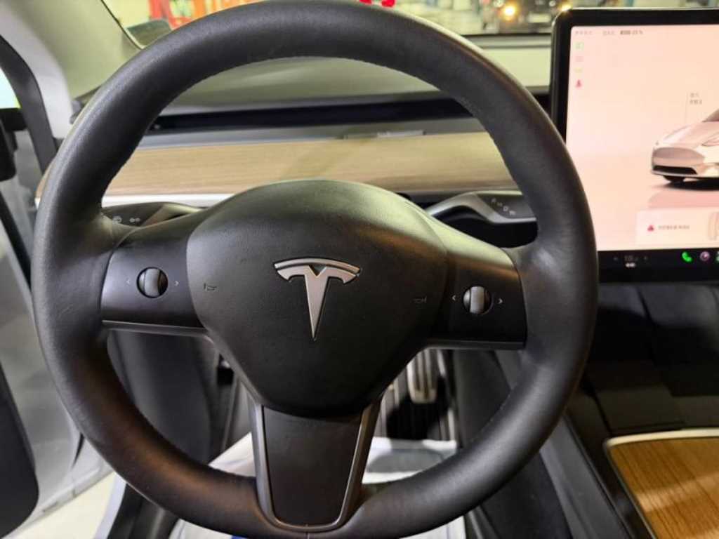 Tesla Model Y AWD 롱 레인지 - 8
