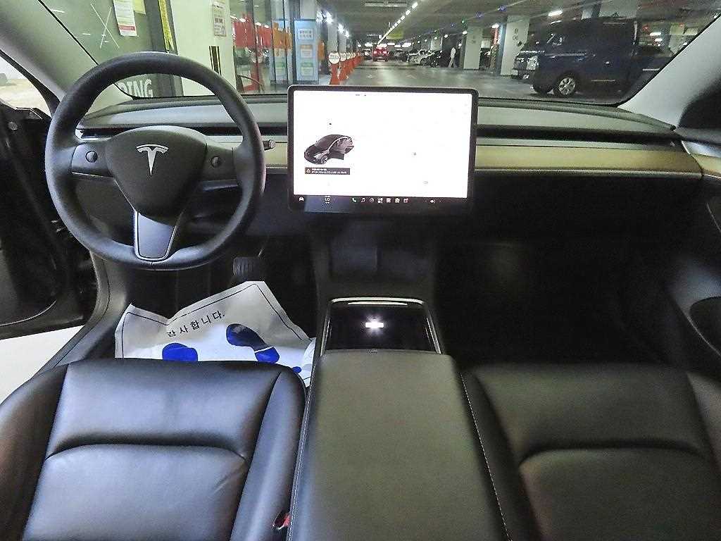 테슬라 모델 3 AWD 롱 레인지 - 10