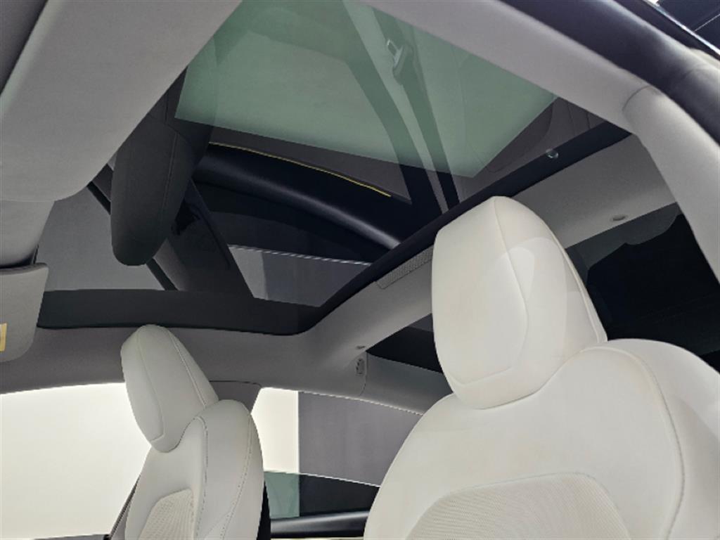 Tesla Model 3 RWD - 17