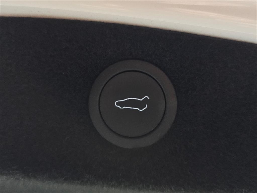 Tesla Model 3 RWD - 18