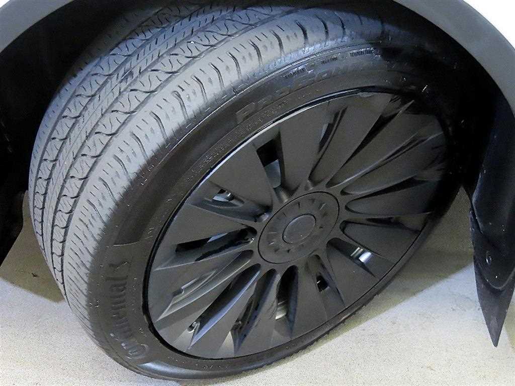 Tesla Model Y AWD 롱 레인지 - 20