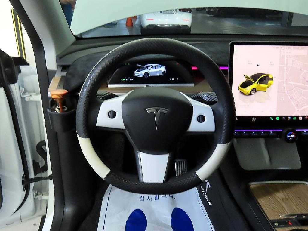 Tesla Model Y AWD 롱 레인지 - 8