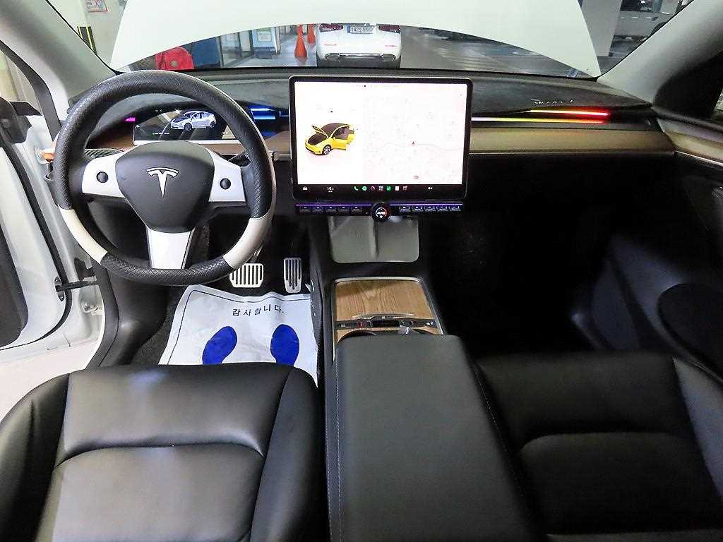 Tesla Model Y AWD 롱 레인지 - 10