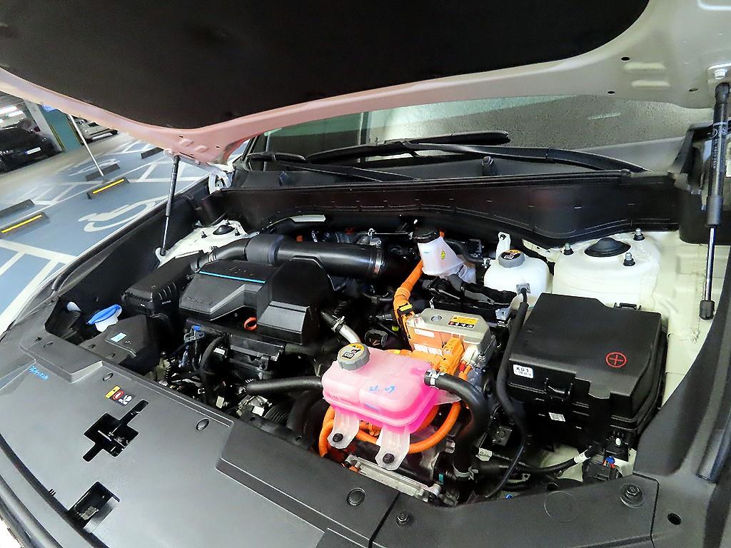 Hyundai Santa Fe Hybrid MX5 1.6 HEV 2WD 캘리그래피 - 19
