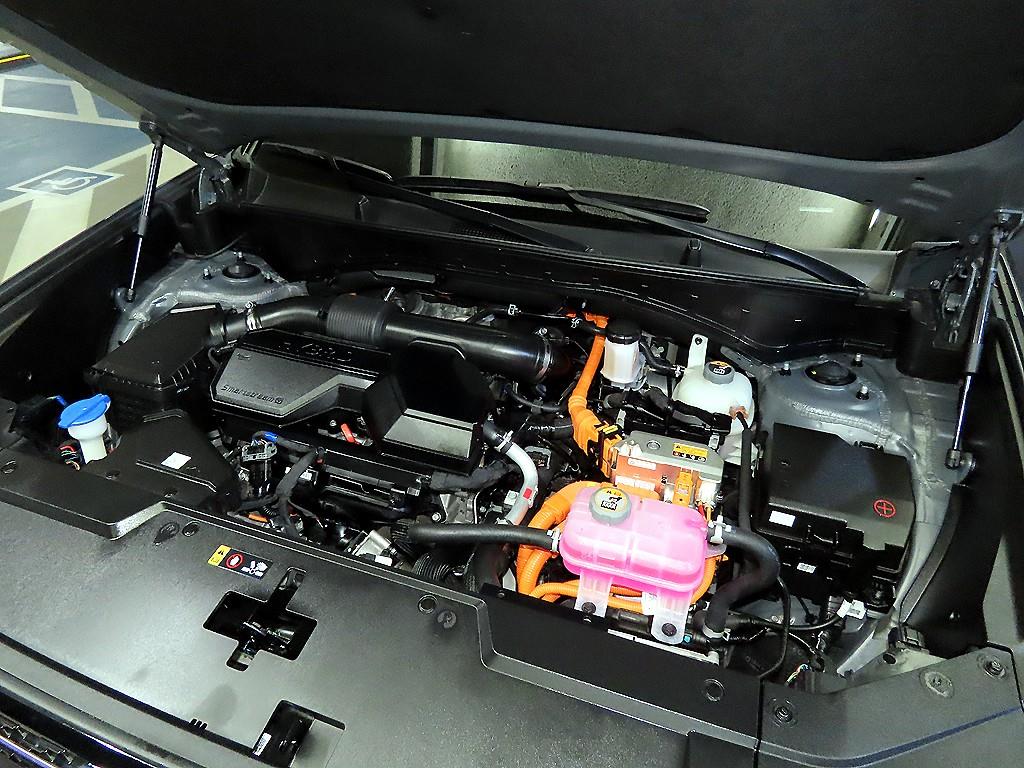 Hyundai Santa Fe Hybrid MX5 1.6 HEV 2WD 캘리그래피 - 19