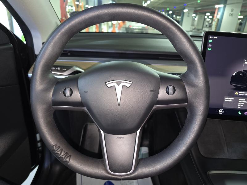 Tesla Model Y AWD 롱 레인지 - 9
