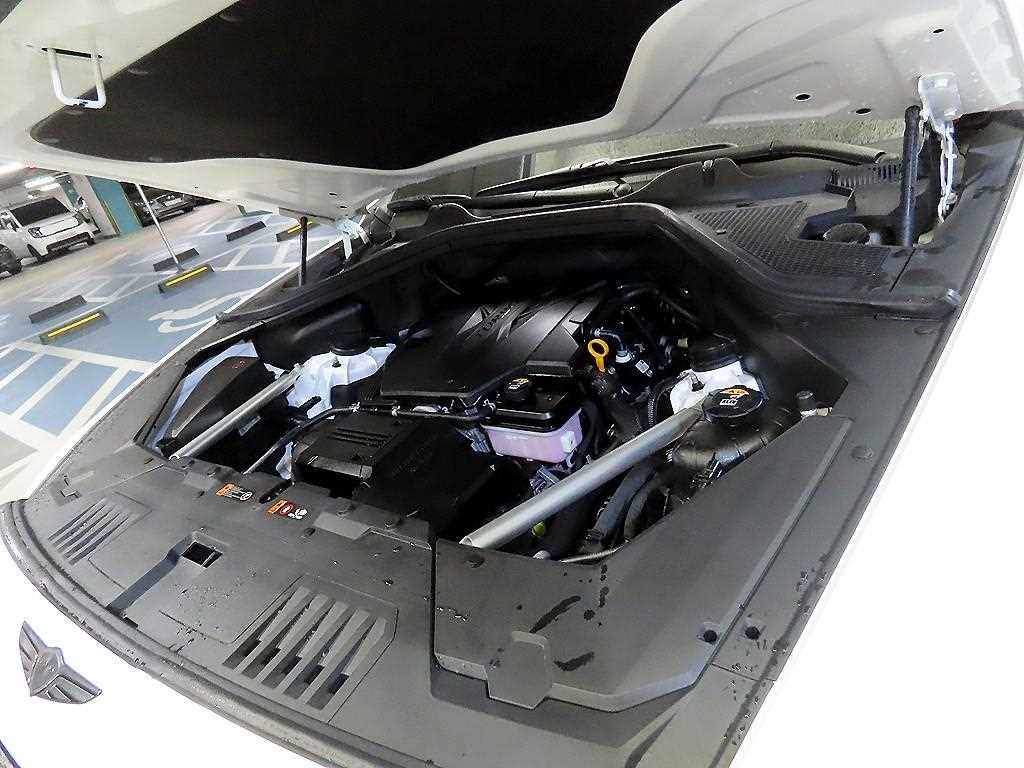 제네시스 뉴 GV80 2.5 가솔린 AWD 기본형 - 19