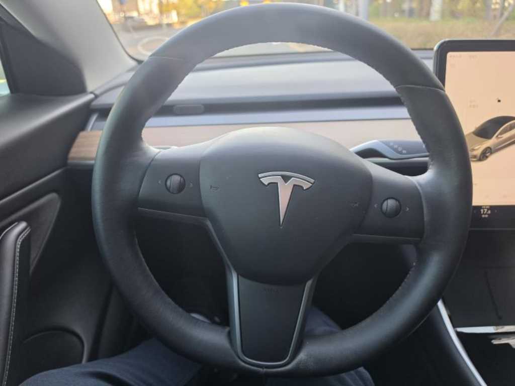 Tesla Model 3 AWD 롱 레인지 - 19