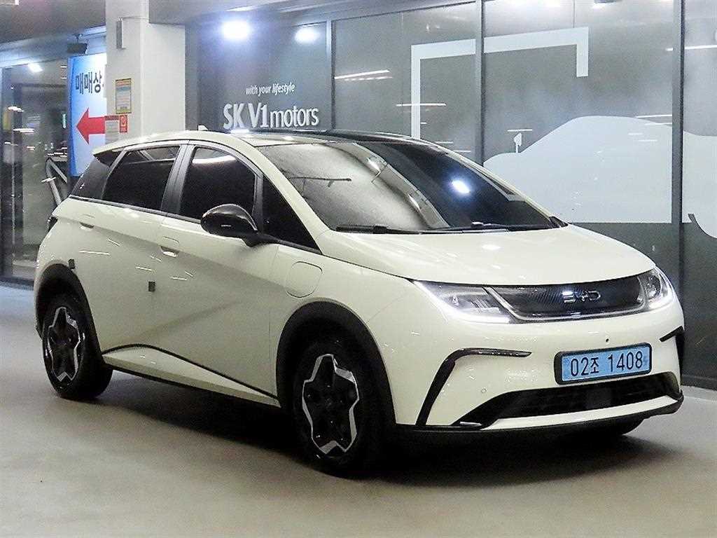 BYD 돌핀 EV