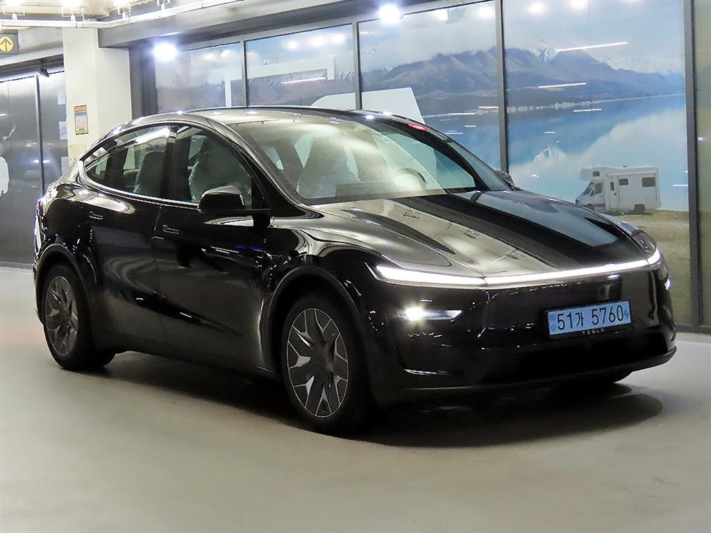 Tesla Model Y AWD L