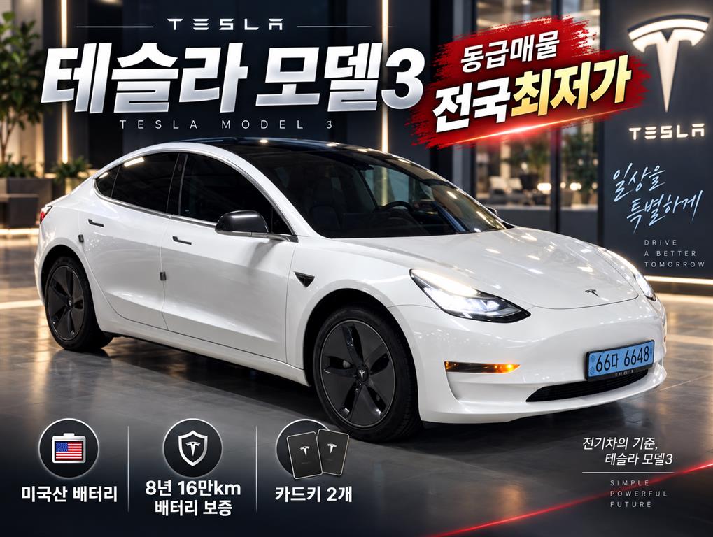 테슬라 모델 3 RWD 스탠다드 레인지 플러스