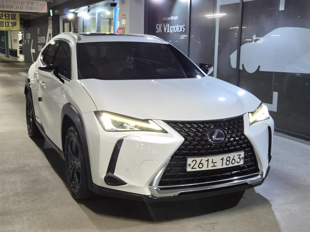 렉서스 UX 250h 2WD