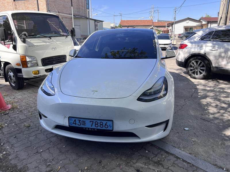 Tesla Model Y AWD 롱 레인지