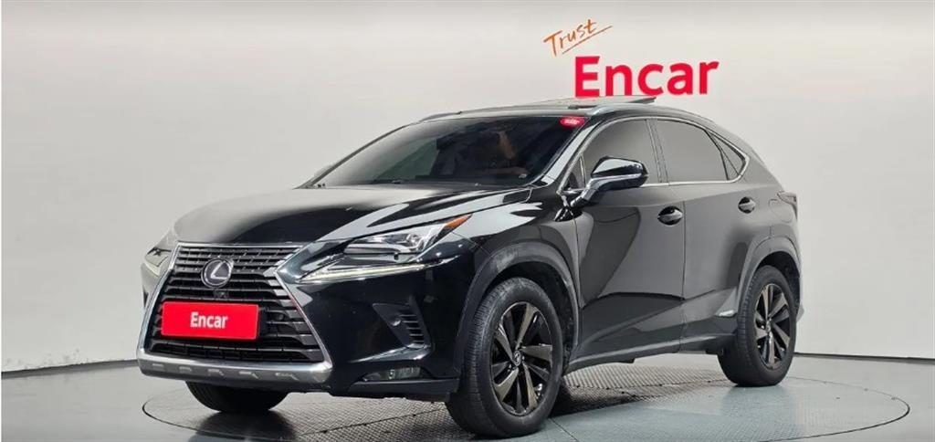 렉서스 NX 300h 이그제큐티브