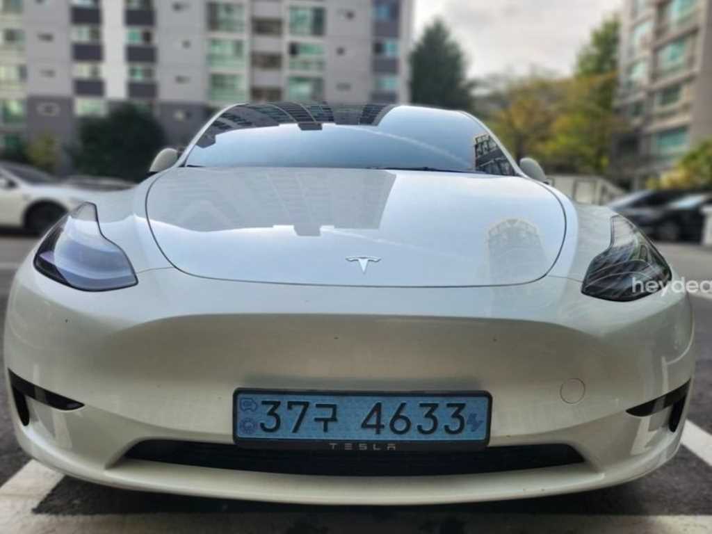 테슬라 모델 Y RWD